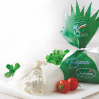 Burrata