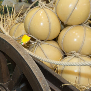 Caciocavallo