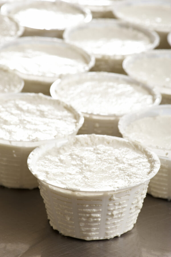 Ricotta di Bufala
