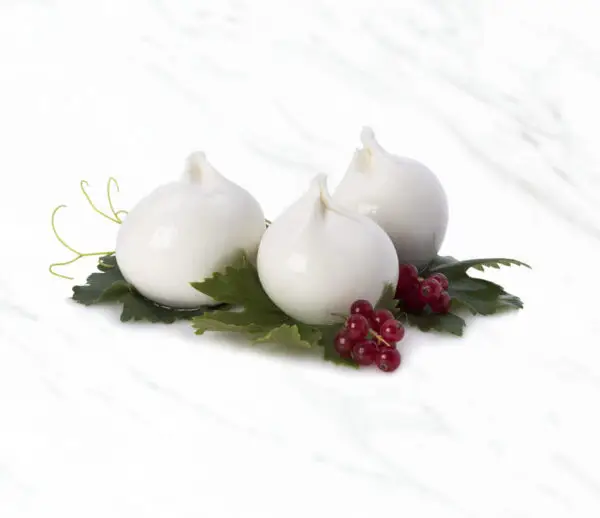 Burrata - Image 2