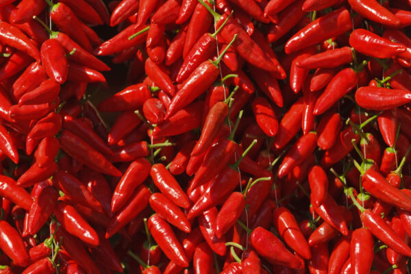 Whole Hot Calabrian Chili Peppers