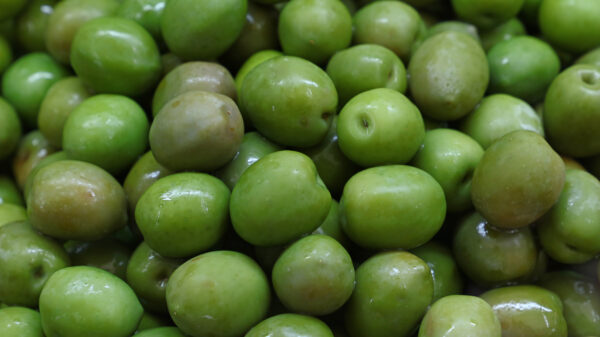Castelvetrano Olives